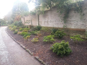 And here is the final product.  The Azaleas look like they've always been there!